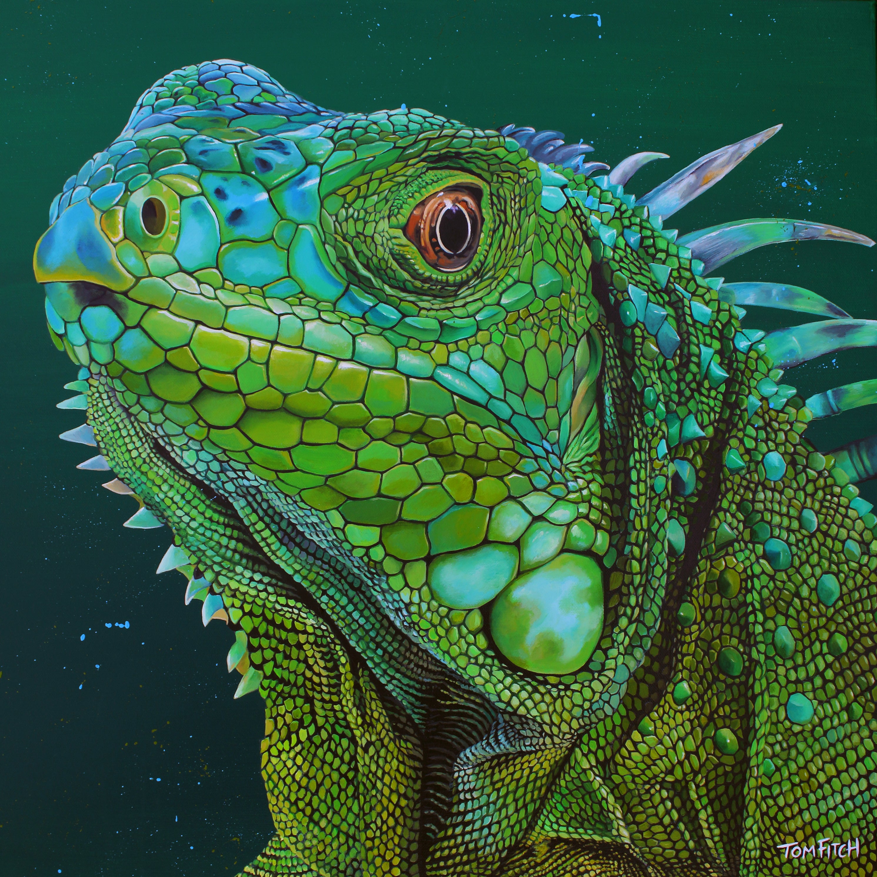 Original Green Iguana Painting – Tom Fitch Art