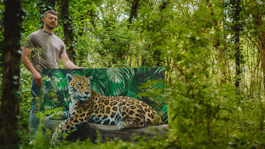 Panthera Onca Behind The Scenes